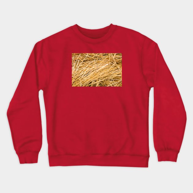 Dried yellow grass Crewneck Sweatshirt by textural